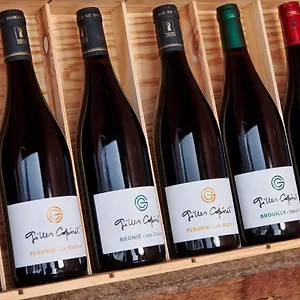 Les Glycines - Domaine Gilles Coperet Régnié